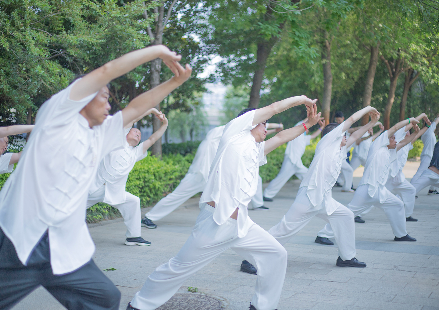 A group of individuals wearing white attire performing synchronized movements in a park, emphasizing physical exercise and wellness.